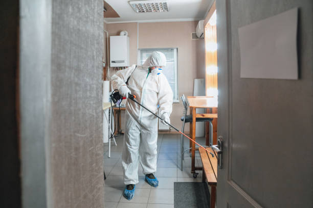 Best Industrial Mold Remediation  in Gilbertsville, PA