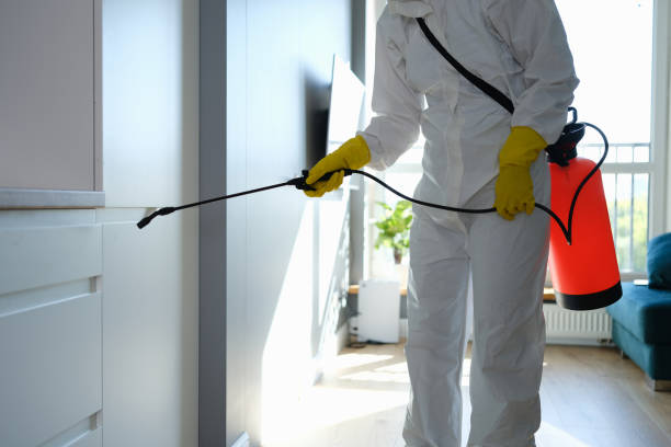 Best Real Estate Mold Inspection  in Gilbertsville, PA