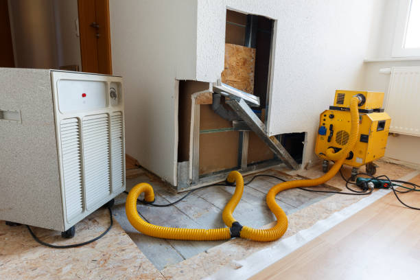 Reliable Gilbertsville, PA Mold Removal Solutions