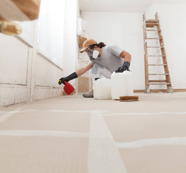 Best Biohazard Mold Removal  in Gilbertsville, PA